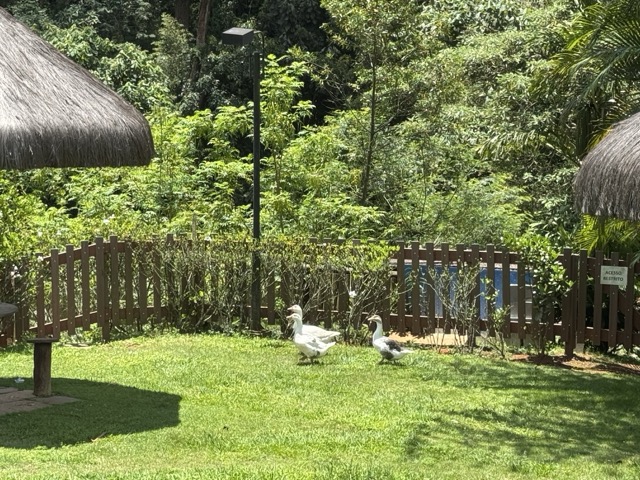 Área de lazer completa do Villaggio Panamby com piscina e espaços de convivência